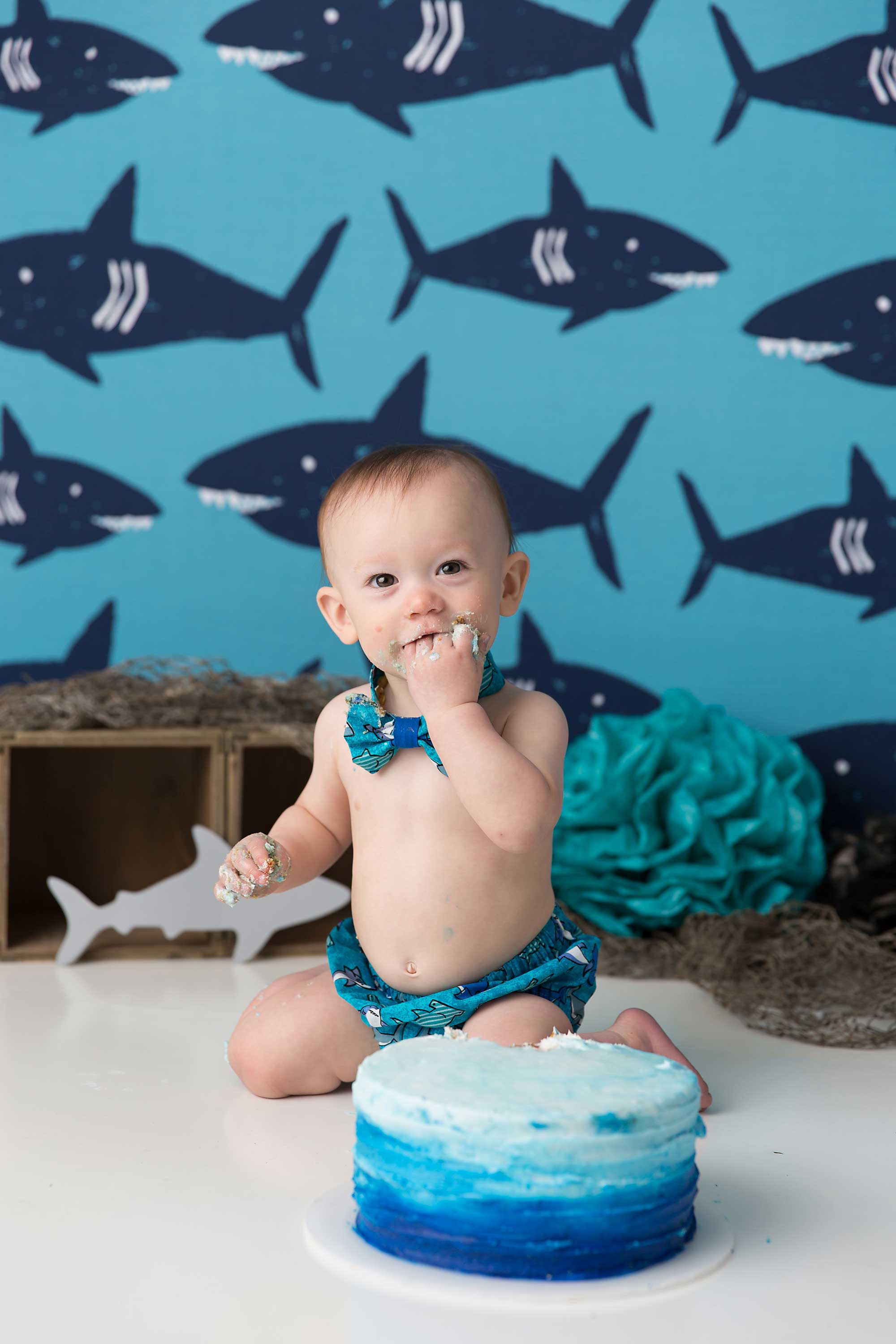 Pueblo Photographer Cake Smash Sharks Pueblo Colorado Springs Newborn Photographer